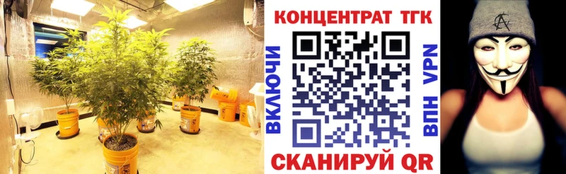 купить закладку  Рузаевка  МЕГА   Дистиллят ТГК THC oil 